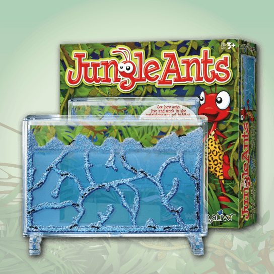 AD-544x544-jungle-ants-logo.jpg